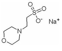 CAS 71119-23-8 MES-NA 2 （N-Morpholino） Ethanesulfonic酸ナトリウムの塩